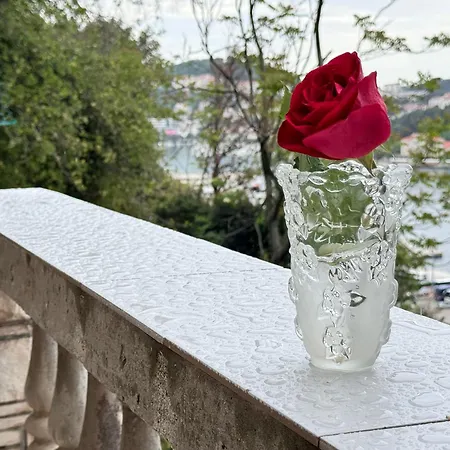 Dalmatian House, Spacious Stone Terraces, Balcony , Views Holiday home *