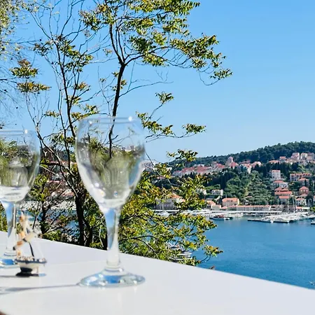 Dalmatian House, Spacious Stone Terraces, Balcony , Views Holiday home Dubrovnik